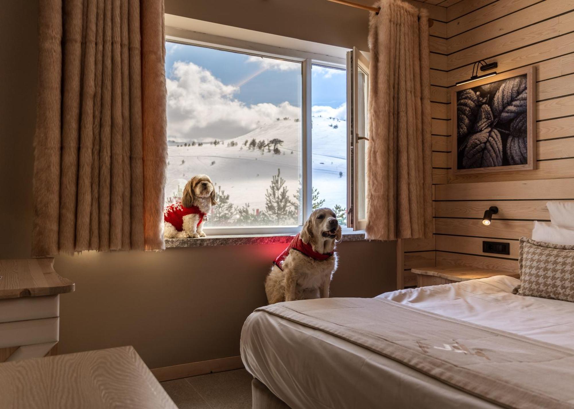Kartal Hotel Kartalkaya Εξωτερικό φωτογραφία